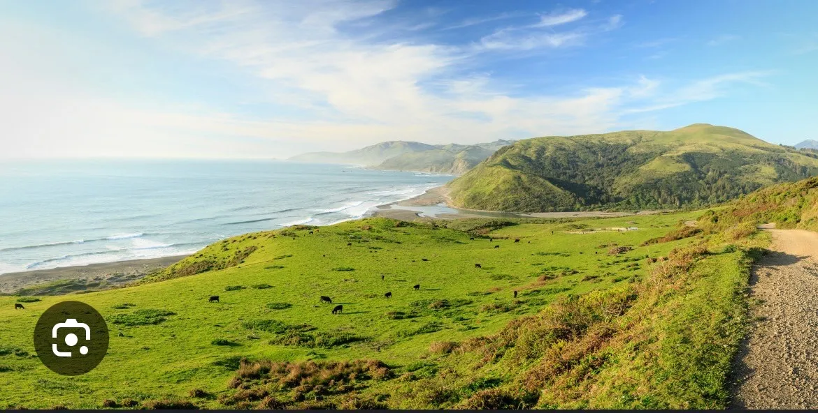 From Humboldt With Love: How Alive & Well Got Started — Alive & Well Cannabis Blog