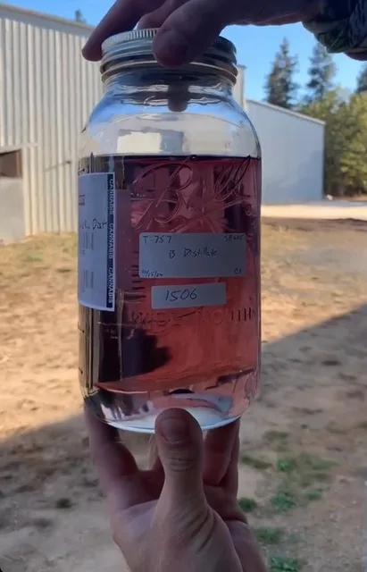 Rose-colored cannabis resin in a mason jar — light pink hue from flavonoid-rich trichomes